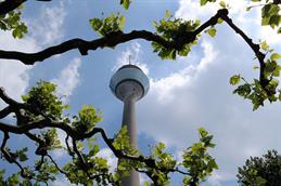 Das Foto zeigt den Düsseldorfer Rheinturm aus einer Froschperspektive, umrahmt von den Ästen und frischen grünen Blättern eines Baumes vor einem teils wolkigen Himmel.